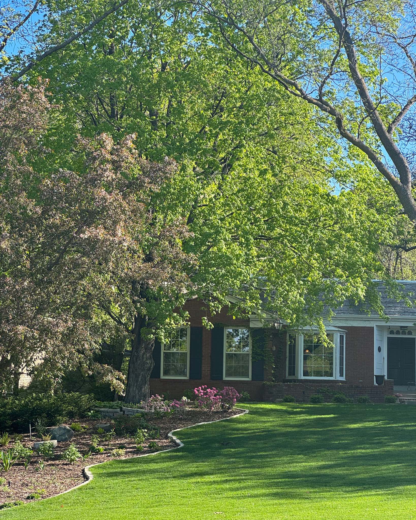 Front yard garden